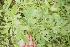  ( - BioBot05270)  @11 [ ] Copyright (2010) Unspecified Unspecified