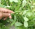  ( - BioBot05270)  @11 [ ] Copyright (2010) Unspecified Unspecified