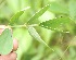  ( - BioBot05270)  @11 [ ] Copyright (2010) Unspecified Unspecified