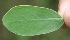  ( - BioBot05270)  @11 [ ] Copyright (2010) Unspecified Unspecified