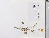  ( - 09PROBE-05030)  @11 [ ] Copyright (2010) Unspecified Unspecified