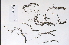  ( - 09PROBE-05044)  @11 [ ] Copyright (2010) Unspecified Unspecified