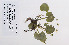  ( - 09PROBE-05045)  @11 [ ] Copyright (2010) Unspecified Unspecified