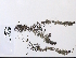 ( - 09PROBE-05070)  @11 [ ] Copyright (2010) Unspecified Unspecified