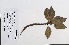  ( - 09PROBE-05087)  @11 [ ] Copyright (2010) Unspecified Unspecified