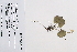  ( - 09PROBE-05214)  @11 [ ] Copyright (2010) Unspecified Unspecified