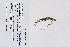  ( - 09PROBE-05238)  @11 [ ] Copyright (2010) Unspecified Unspecified