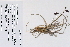  ( - 09PROBE-05240)  @11 [ ] Copyright (2010) Unspecified Unspecified