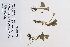  ( - 09PROBE-05253)  @11 [ ] Copyright (2010) Unspecified Unspecified