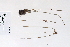  ( - 09PROBE-05270)  @11 [ ] Copyright (2010) Unspecified Unspecified