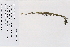  ( - 09PROBE-05316)  @11 [ ] Copyright (2010) Unspecified Unspecified