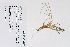  ( - 09PROBE-05357)  @11 [ ] Copyright (2010) Unspecified Unspecified