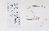  ( - 09PROBE-05375)  @11 [ ] Copyright (2010) Unspecified Unspecified