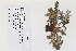  ( - 09PROBE-05385)  @11 [ ] Copyright (2010) Unspecified Unspecified