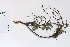  ( - 09PROBE-05391)  @11 [ ] Copyright (2010) Unspecified Unspecified