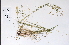  ( - 09PROBE-05394)  @11 [ ] Copyright (2010) Unspecified Unspecified
