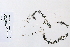  ( - 09PROBE-05473)  @11 [ ] Copyright (2010) Unspecified Unspecified