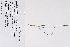  ( - 09PROBE-05487)  @11 [ ] Copyright (2010) Unspecified Unspecified
