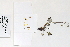  ( - 09PROBE-05495)  @11 [ ] Copyright (2010) Unspecified Unspecified