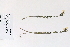  ( - 09PROBE-05507)  @11 [ ] Copyright (2010) Unspecified Unspecified