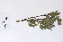  ( - 09PROBE-05537)  @11 [ ] Copyright (2010) Unspecified Unspecified