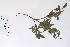  ( - 09PROBE-05538)  @11 [ ] Copyright (2010) Unspecified Unspecified