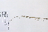  ( - 09PROBE-05550)  @11 [ ] Copyright (2010) Unspecified Unspecified
