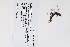  ( - 09PROBE-05561)  @11 [ ] Copyright (2010) Unspecified Unspecified