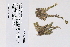  ( - 09PROBE-05568)  @11 [ ] Copyright (2010) Unspecified Unspecified