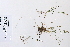  ( - 09PROBE-05574)  @11 [ ] Copyright (2010) Unspecified Unspecified