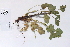  ( - 09PROBE-05586)  @11 [ ] Copyright (2010) Unspecified Unspecified