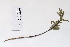  ( - 09PROBE-05618)  @11 [ ] Copyright (2010) Unspecified Unspecified