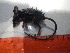  (Hylomyscus - AD4IR06)  @11 [ ] CreativeCommons - Attribution Non-Commercial Share-Alike (2015) Hillary Young UC Santa Barbara