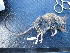  ( - AD3HY19)  @11 [ ] CreativeCommons - Attribution Non-Commercial Share-Alike (2015) Unspecified University of California, Santa Barbara