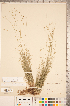  ( - CCDB-18290-C12)  @11 [ ] No Rights Reserved (2014) Deb Metsger Royal Ontario Museum
