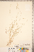  ( - CCDB-18294-H02)  @11 [ ] No Rights Reserved (2014) Deb Metsger Royal Ontario Museum