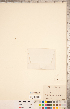  ( - CCDB-20331-G09)  @11 [ ] Copyright (2015) Deb Metsger Royal Ontario Museum