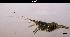  ( - LMBSST1-001)  @11 [ ] Unspecified (default): All Rights Reserved  Unspecified Unspecified