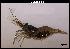  ( - LMBSST6-001)  @14 [ ] Unspecified (default): All Rights Reserved  Unspecified Unspecified