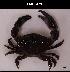  ( - LMBSCt2-001)  @14 [ ] Unspecified (default): All Rights Reserved  Unspecified Unspecified