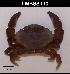  ( - LMBSST8-001)  @11 [ ] Unspecified (default): All Rights Reserved  Unspecified Unspecified