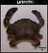  ( - LMBSST8-003)  @11 [ ] Unspecified (default): All Rights Reserved  Unspecified Unspecified