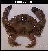  ( - LMBSST8-005)  @11 [ ] Unspecified (default): All Rights Reserved  Unspecified Unspecified