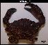  ( - LMBSST8-004)  @11 [ ] Unspecified (default): All Rights Reserved  Unspecified Unspecified