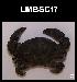  ( - LMBSCt2-003)  @11 [ ] Unspecified (default): All Rights Reserved  Unspecified Unspecified