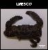  ( - LMBSCt2-004)  @11 [ ] Unspecified (default): All Rights Reserved  Unspecified Unspecified