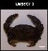  ( - LMBSCt2-005)  @11 [ ] Unspecified (default): All Rights Reserved  Unspecified Unspecified