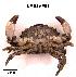  ( - LMBSAP18-001)  @14 [ ] Unspecified (default): All Rights Reserved  Unspecified Unspecified