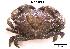  ( - LMBSAP18-001)  @14 [ ] Unspecified (default): All Rights Reserved  Unspecified Unspecified