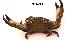  ( - LMBSAP18-002)  @11 [ ] Unspecified (default): All Rights Reserved  Unspecified Unspecified